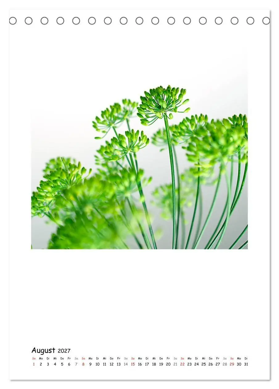 Bild: 9783594200674 | BLUMEN EINFACH IN SZENE GESETZT (Tischkalender 2027 DIN A5 hoch),...