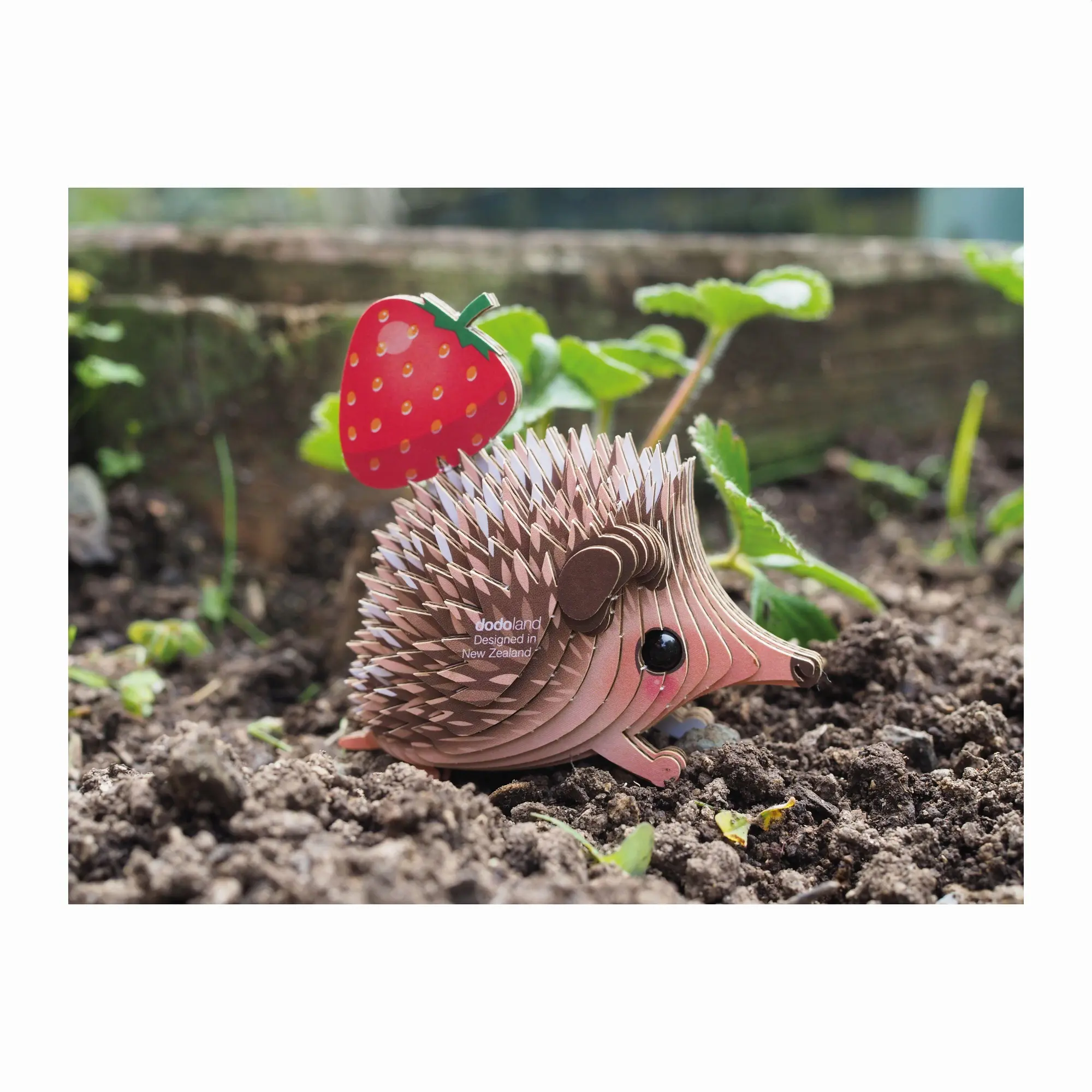 Bild: 9421035150774 | EUGY - 3D Bastelset Igel | Eugy | Kit (Bastelset) | 650026 | Deutsch