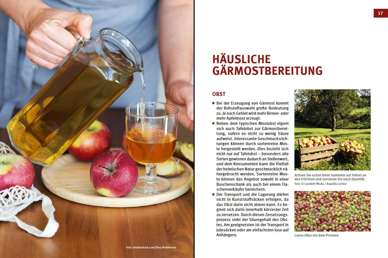 Bild: 9783702020774 | Cider, Most &amp; Apfelwein | Selbst gemacht | Karl Stückler | Buch | 2023