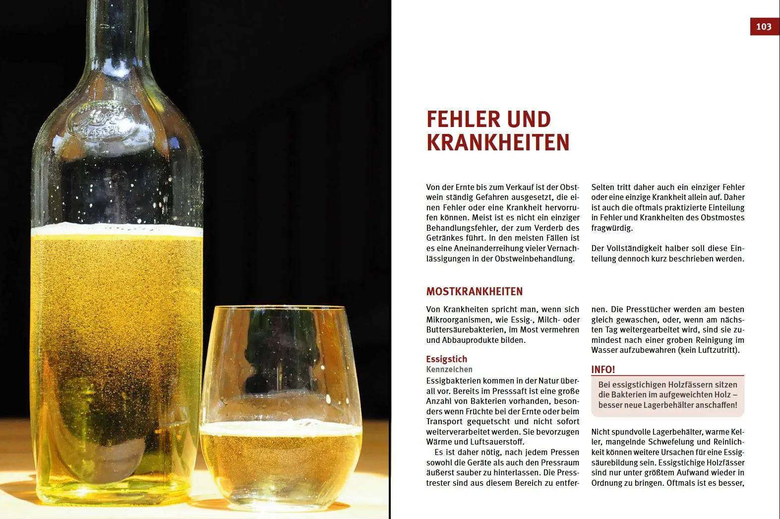 Bild: 9783702020774 | Cider, Most &amp; Apfelwein | Selbst gemacht | Karl Stückler | Buch | 2023