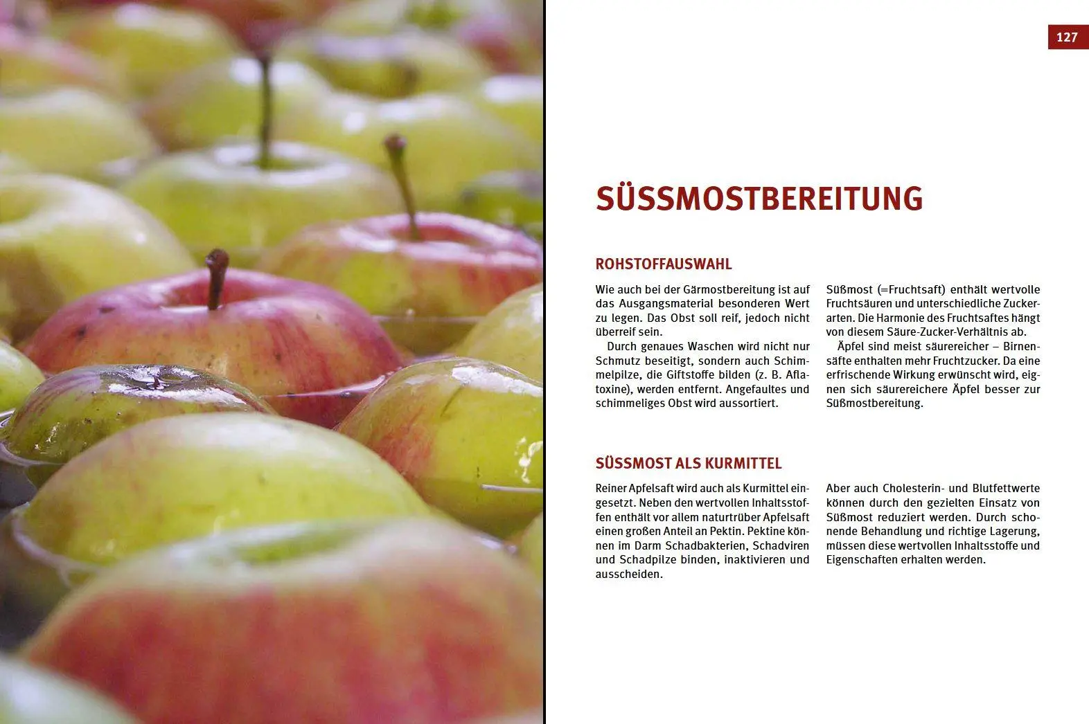 Bild: 9783702020774 | Cider, Most &amp; Apfelwein | Selbst gemacht | Karl Stückler | Buch | 2023