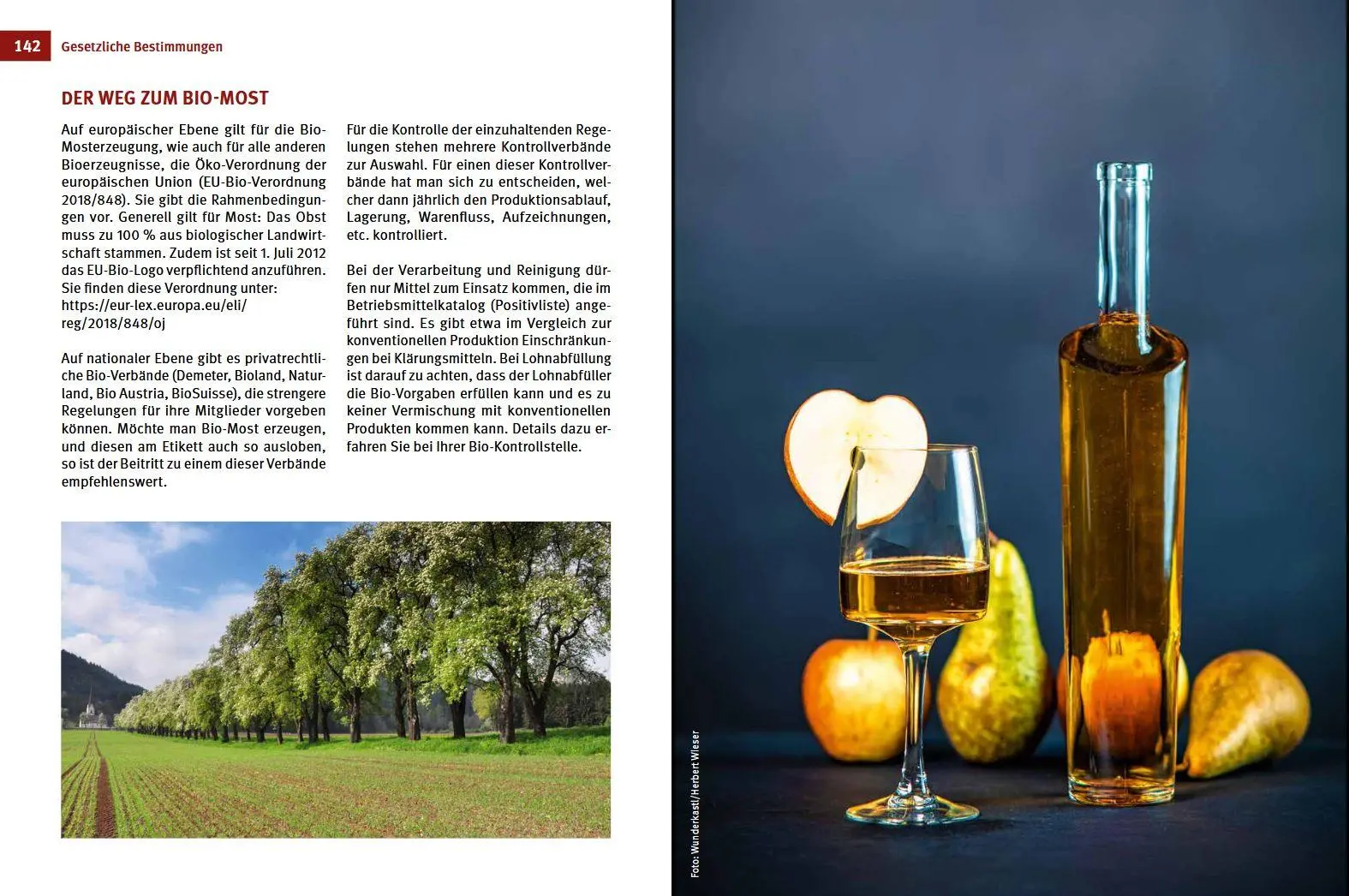 Bild: 9783702020774 | Cider, Most &amp; Apfelwein | Selbst gemacht | Karl Stückler | Buch | 2023
