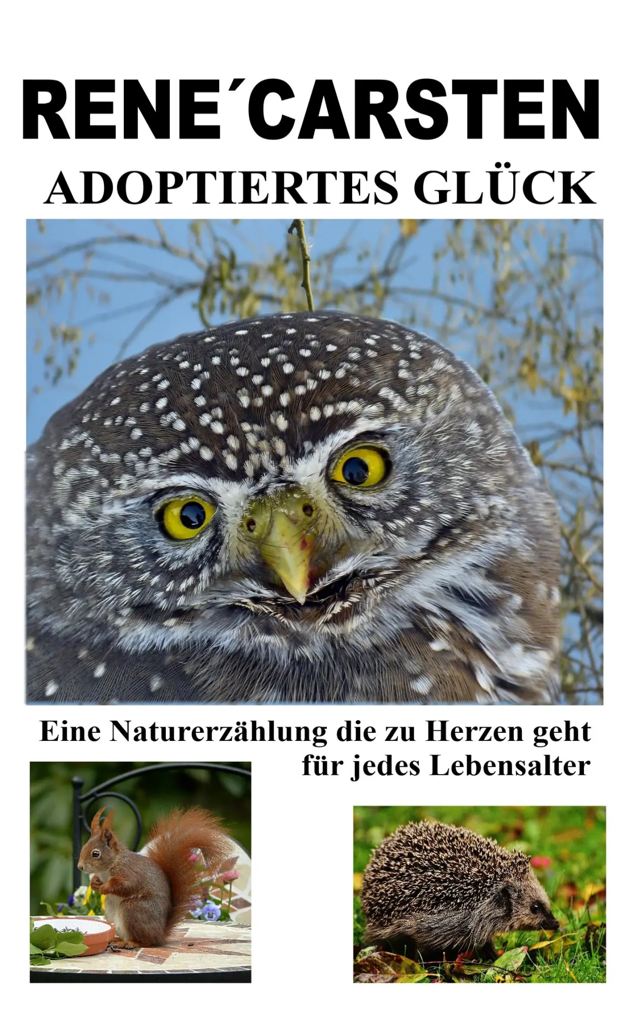 Cover: 9783749410774 | Adoptiertes Glück | Rene´ Carsten | Taschenbuch | 100 S. | Deutsch