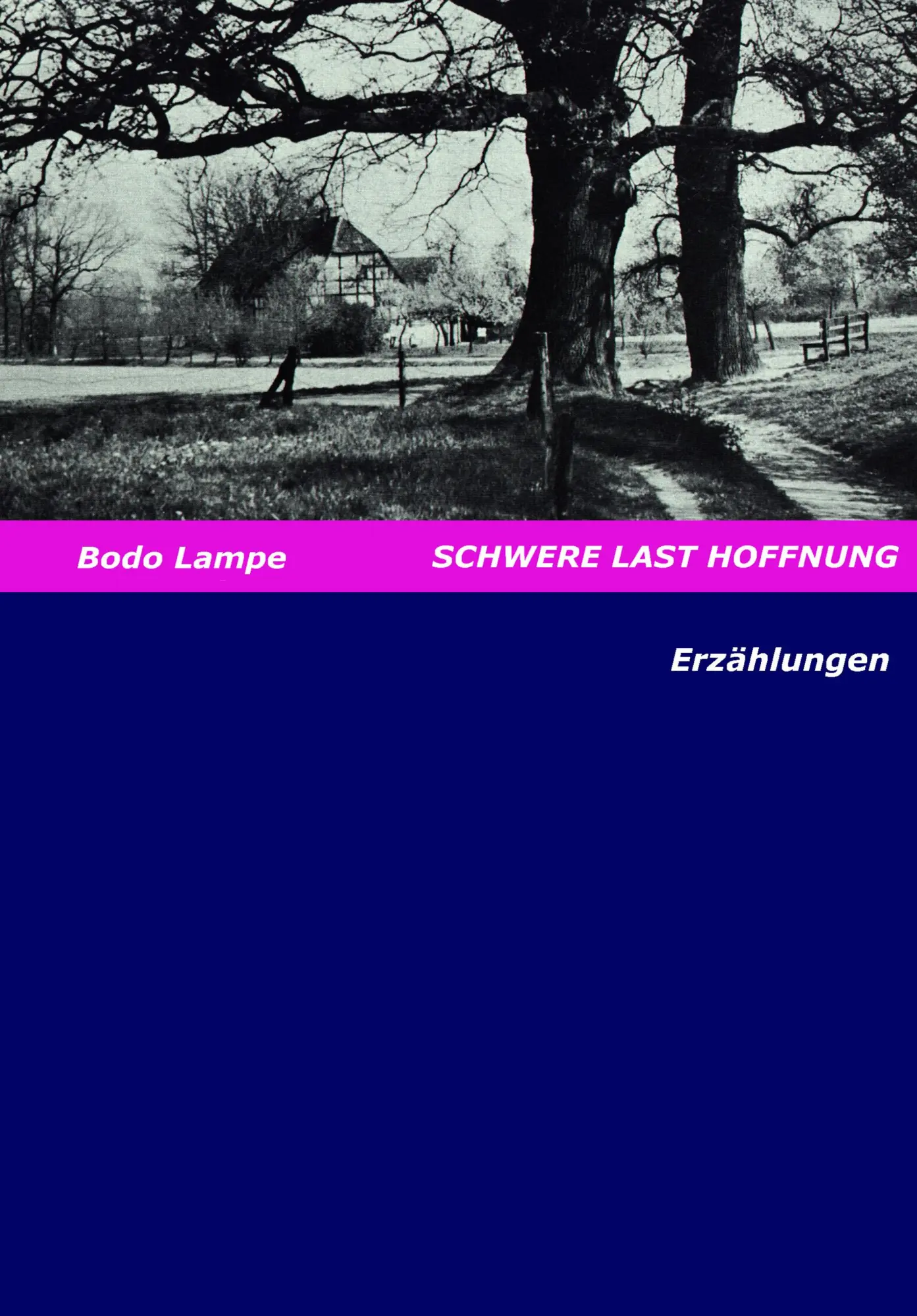 Schwere Last Hoffnung: Erzählungen