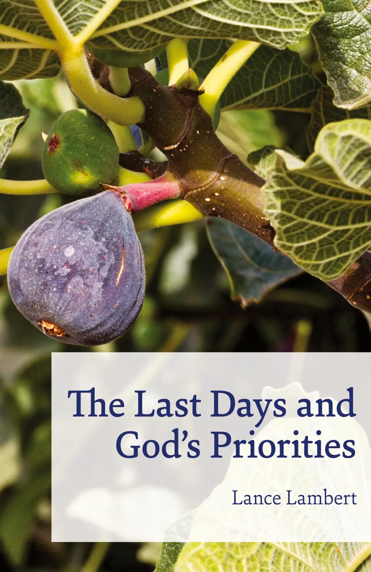 Cover: 9781683890874 | The Last Days and God's Priorities | Lance Lambert | Taschenbuch
