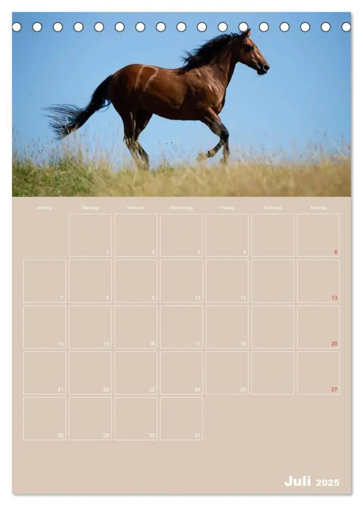 Bild: 9783457040874 | Pferde / Planer (Tischkalender 2025 DIN A5 hoch), CALVENDO...
