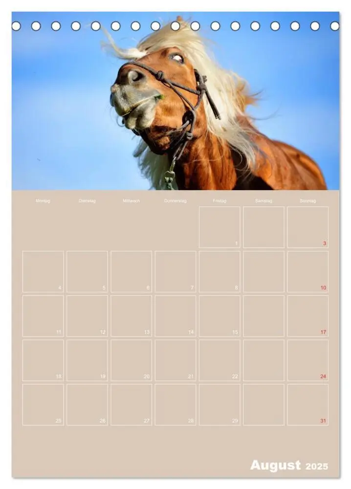 Bild: 9783457040874 | Pferde / Planer (Tischkalender 2025 DIN A5 hoch), CALVENDO...