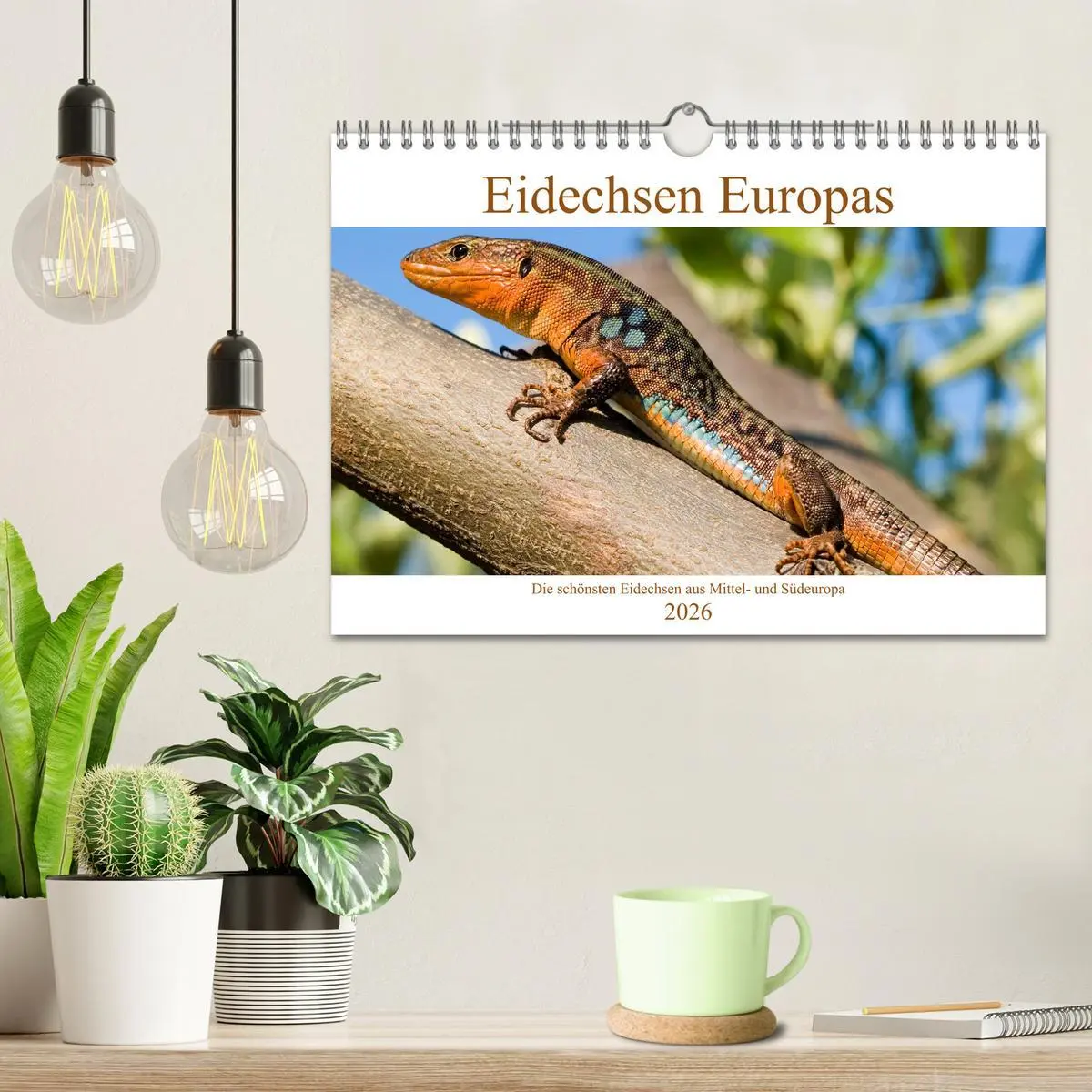Bild: 9783457660874 | Eidechsen Europas (Wandkalender 2026 DIN A4 quer), CALVENDO...