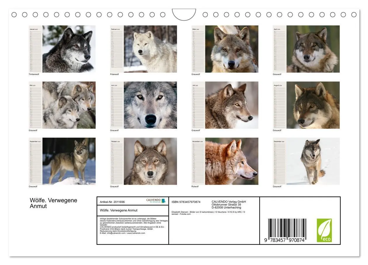 Bild: 9783457970874 | Wölfe. Verwegene Anmut (Wandkalender 2026 DIN A4 quer), CALVENDO...