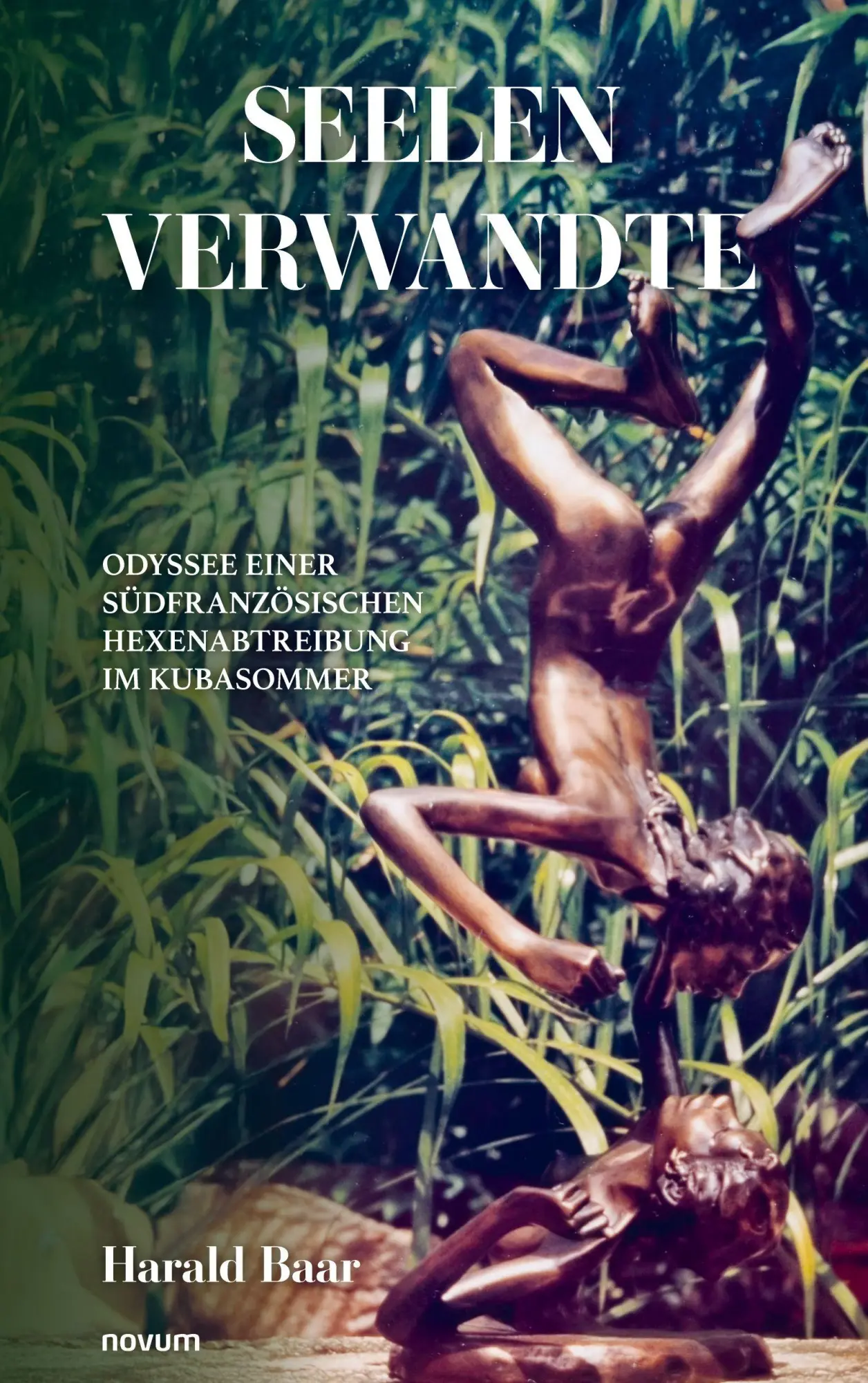 Cover: 9783711610874 | Seelenverwandte | Harald Baar | Taschenbuch | Deutsch | 2025