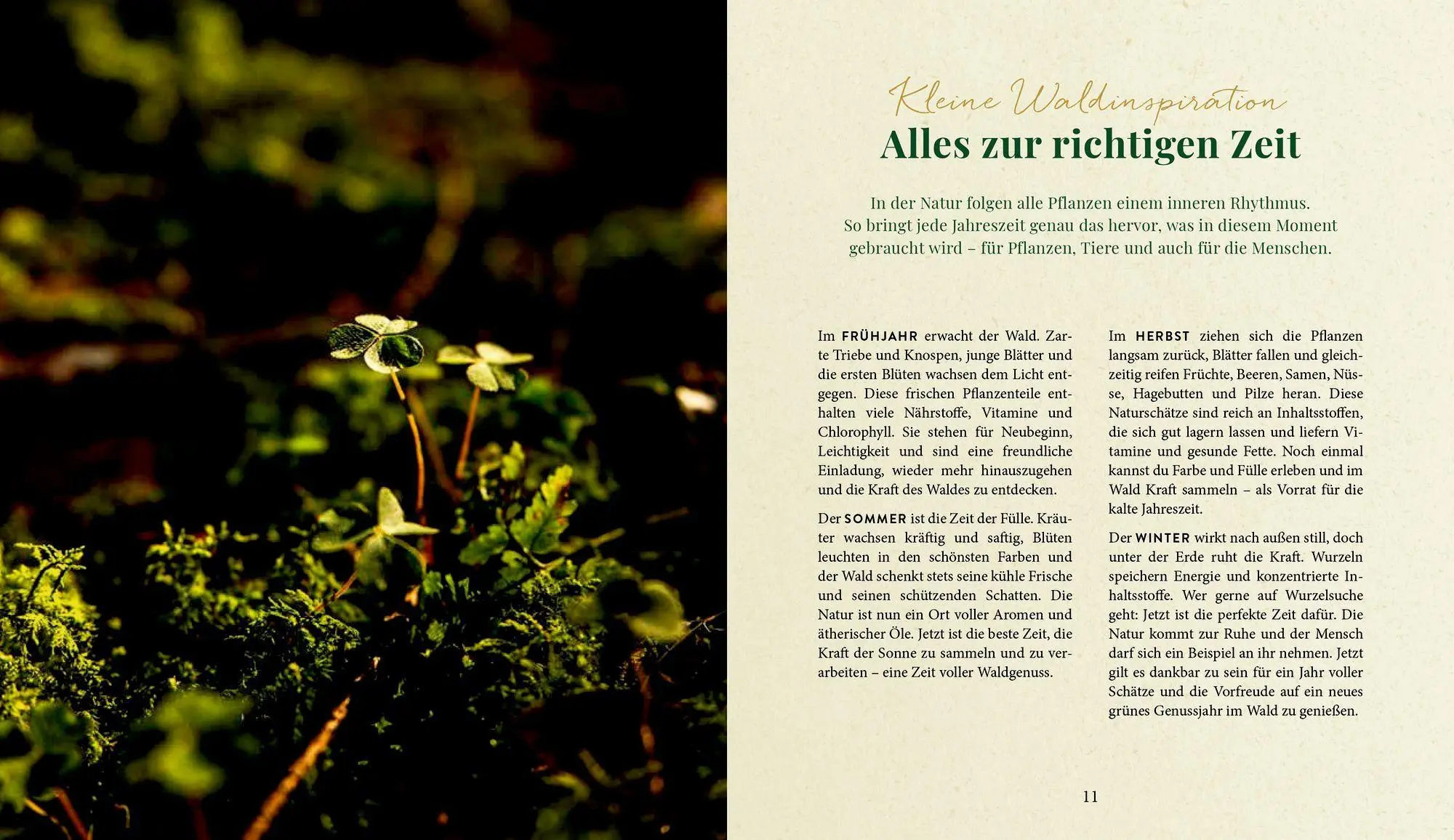Bild: 9783756710874 | Waldgenuss für dich | Dajana Krüger | Buch | 80 S. | Deutsch | 2026