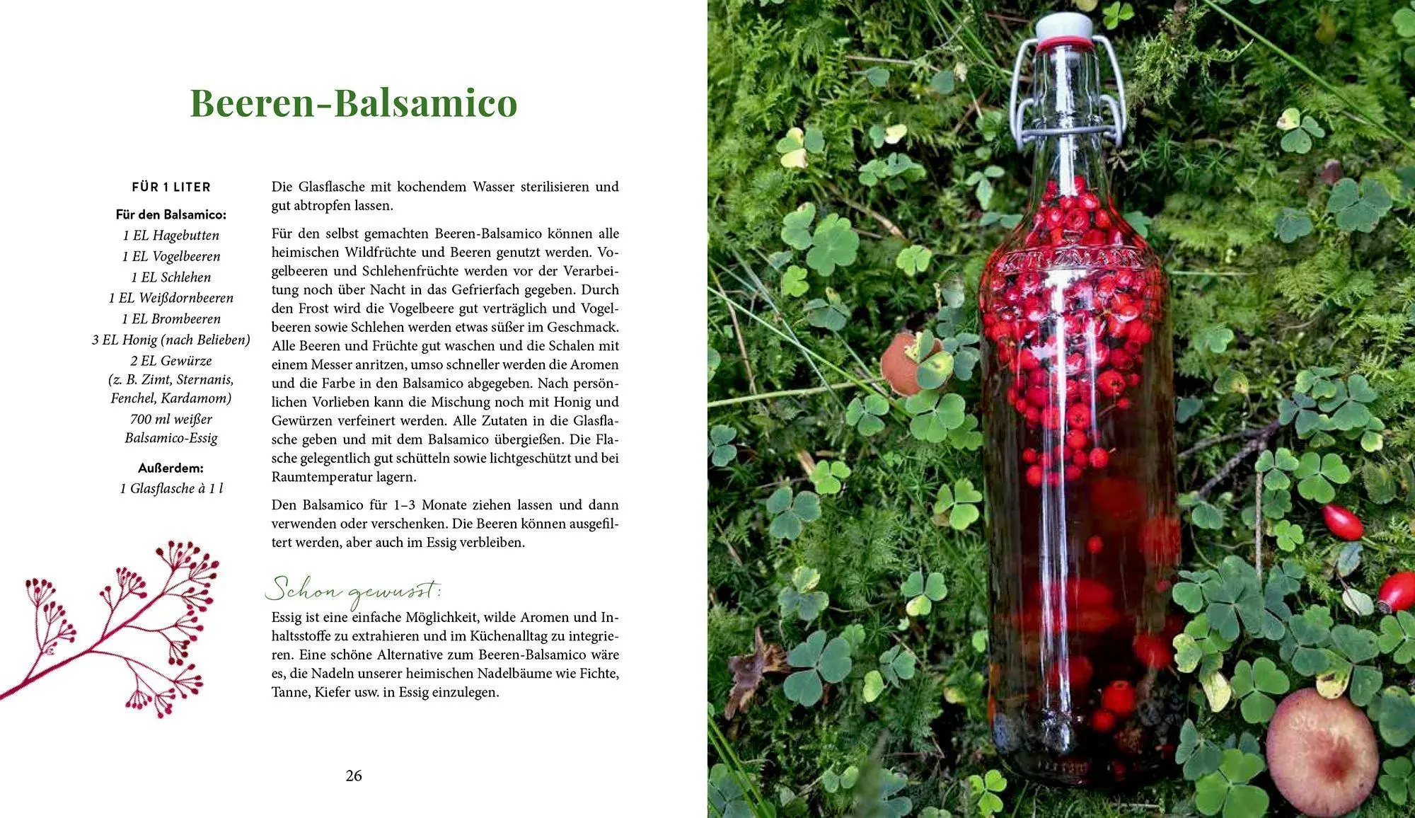 Bild: 9783756710874 | Waldgenuss für dich | Dajana Krüger | Buch | 80 S. | Deutsch | 2026
