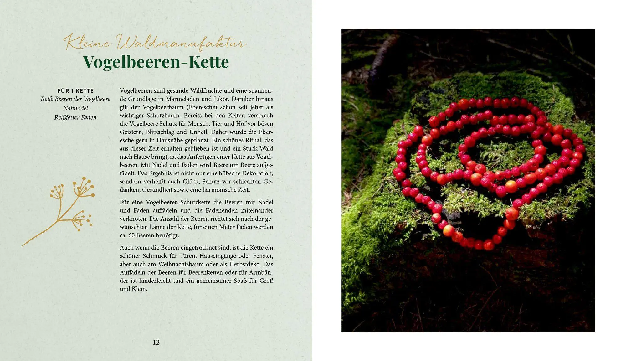 Bild: 9783756710874 | Waldgenuss für dich | Dajana Krüger | Buch | 80 S. | Deutsch | 2026