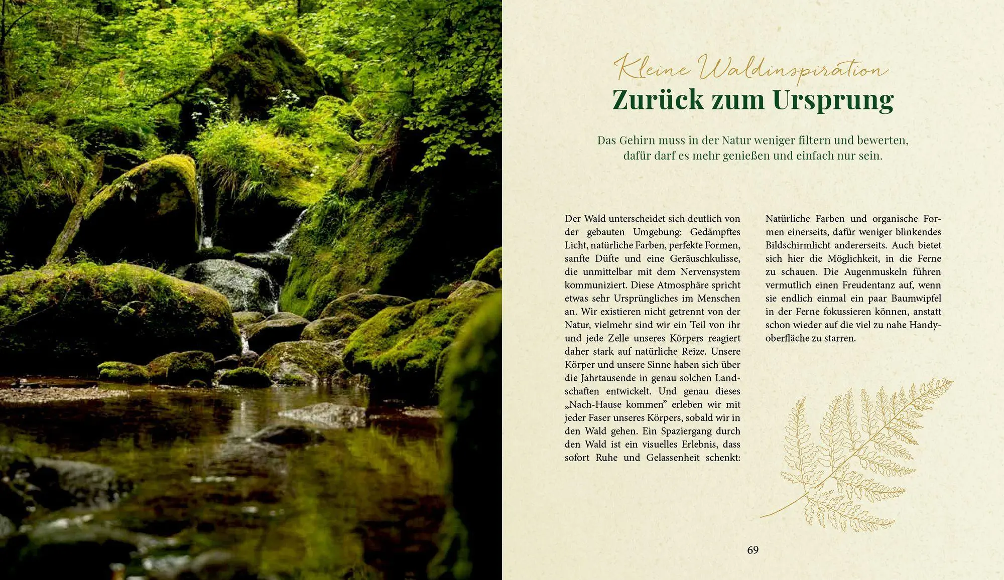 Bild: 9783756710874 | Waldgenuss für dich | Dajana Krüger | Buch | 80 S. | Deutsch | 2026