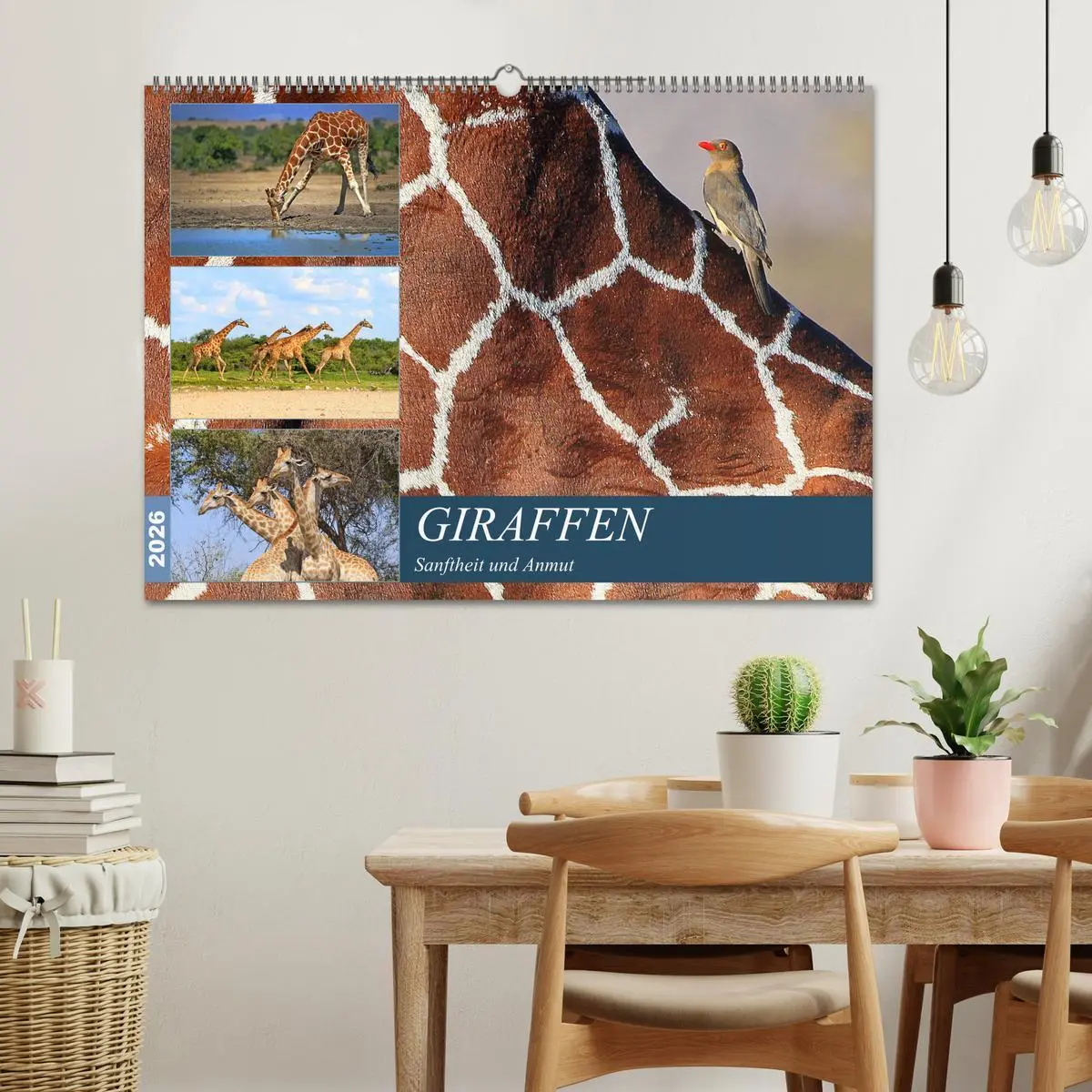 Bild: 9783516050974 | Giraffen - Sanftheit und Anmut (Wandkalender 2026 DIN A2 quer),...