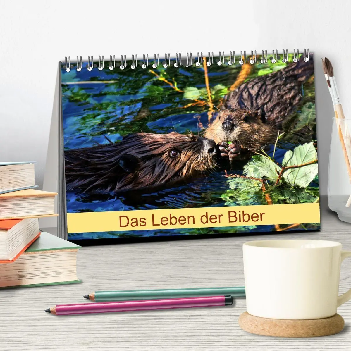 Bild: 9783569830974 | Das Leben der Biber (Tischkalender 2027 DIN A5 quer), CALVENDO...