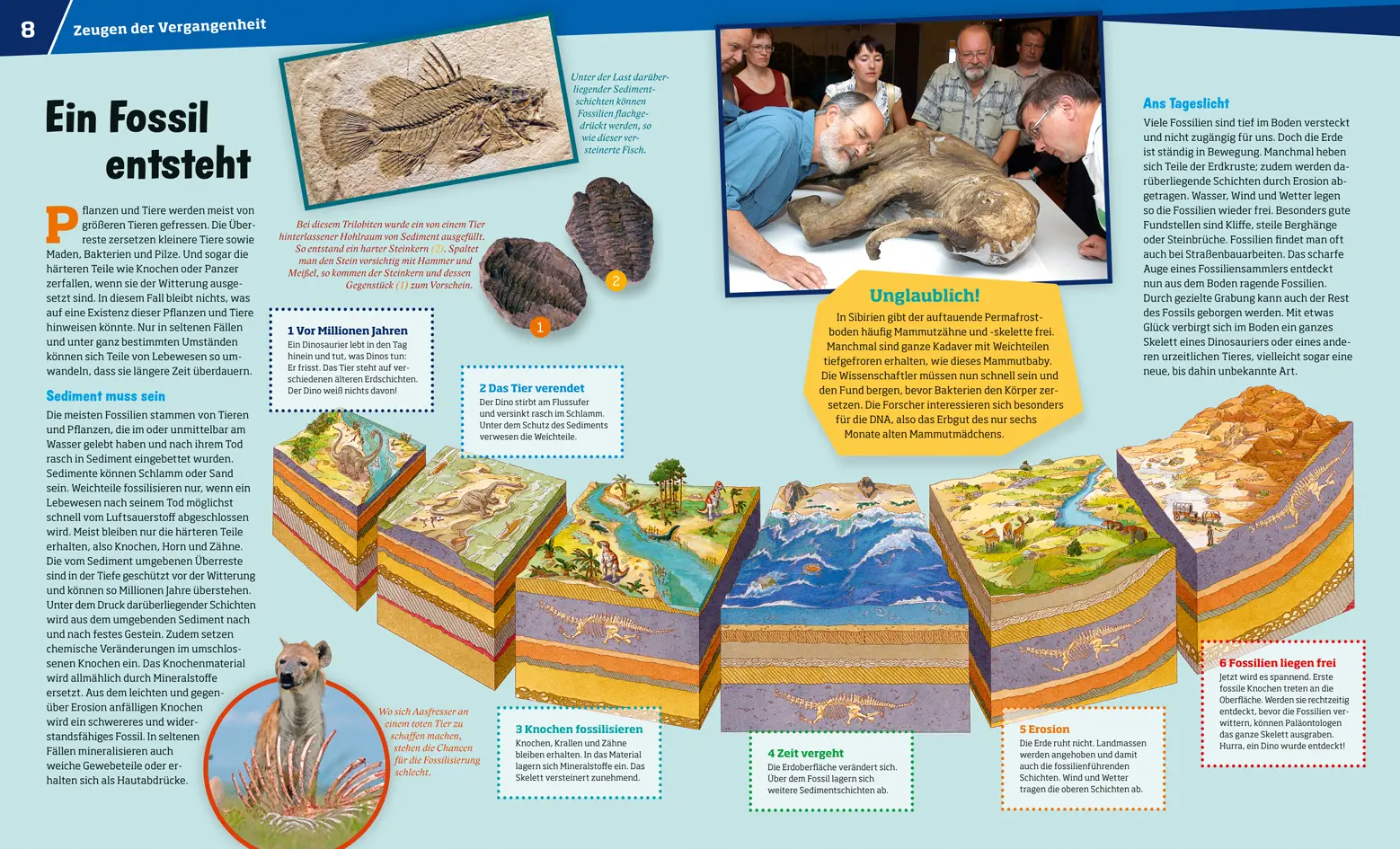 Bild: 9783788620974 | WAS IST WAS Band 69 Fossilien | Spuren des Lebens | Manfred Baur