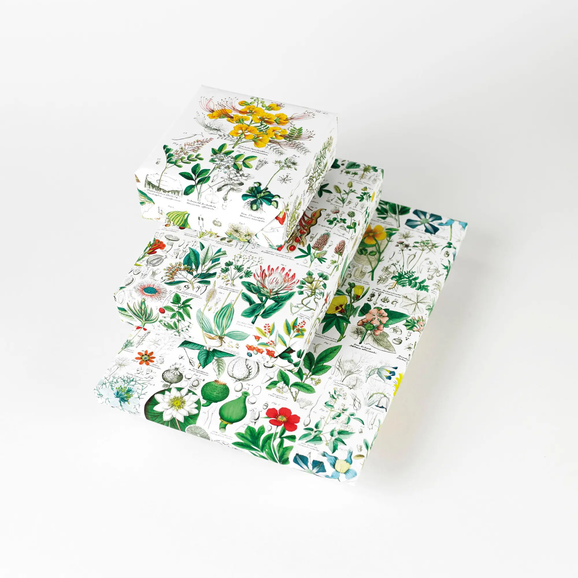 Bild: 9789460090974 | Flora | Gift &amp; Creative Paper Book Vol. 85 | Pepin Van Roojen | Buch