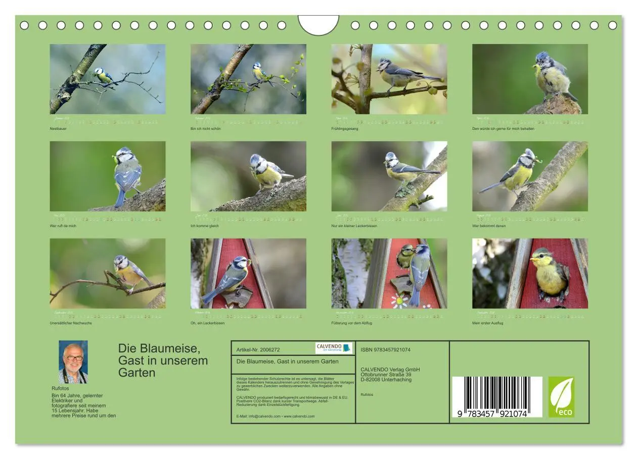 Bild: 9783457921074 | Die Blaumeise, Gast in unserem Garten (Wandkalender 2026 DIN A4...