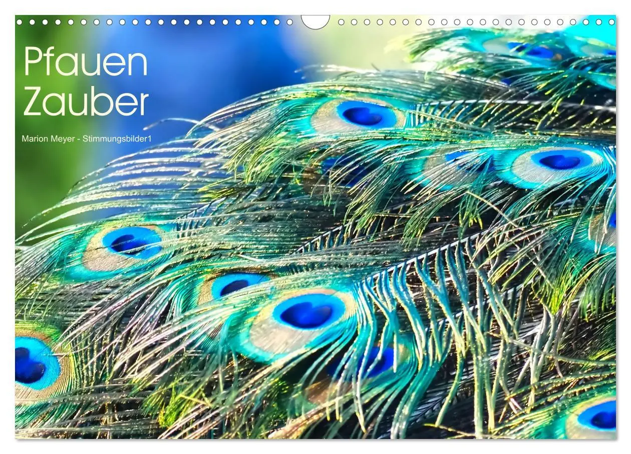 Cover: 9783457531174 | Pfauen Zauber (Wandkalender 2026 DIN A3 quer), CALVENDO Monatskalender