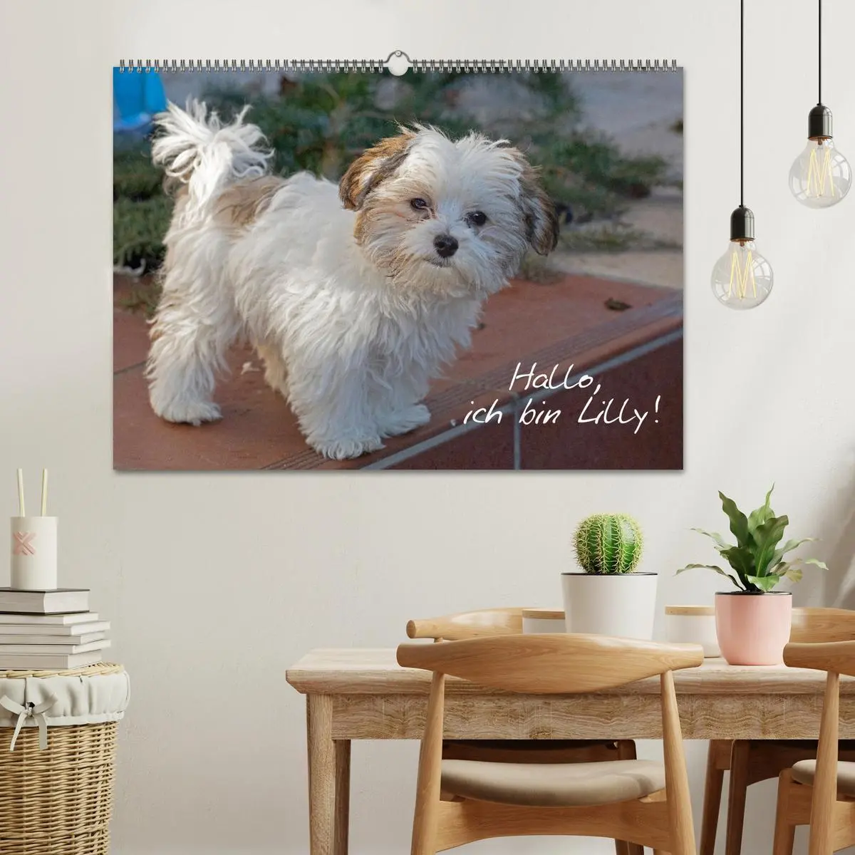 Bild: 9783457601174 | Hallo, ich bin Lilly (Wandkalender 2026 DIN A2 quer), CALVENDO...