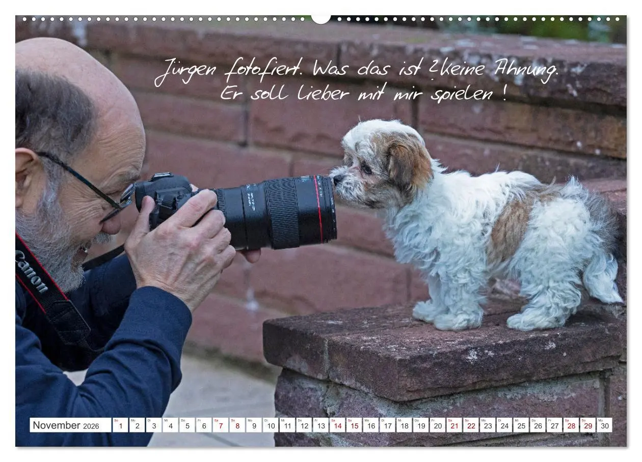 Bild: 9783457601174 | Hallo, ich bin Lilly (Wandkalender 2026 DIN A2 quer), CALVENDO...