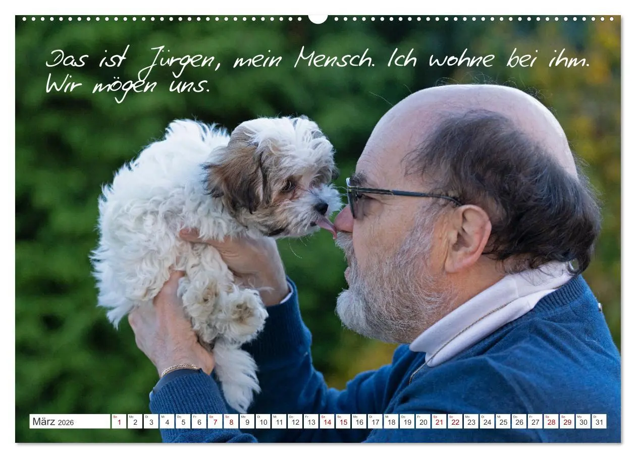 Bild: 9783457601174 | Hallo, ich bin Lilly (Wandkalender 2026 DIN A2 quer), CALVENDO...