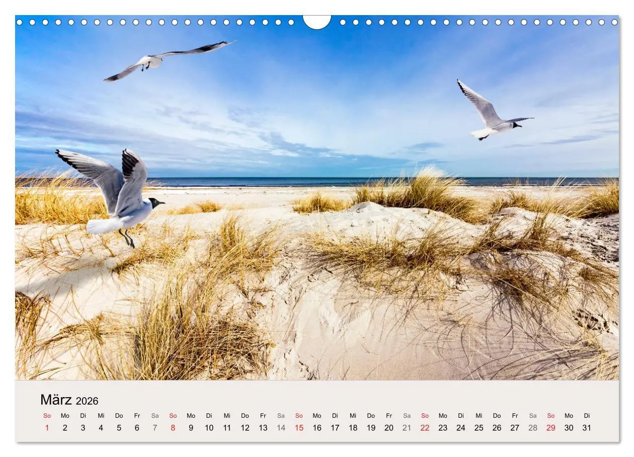 Bild: 9783457841174 | STRANDLUST: Fischland-Darß-Zingst (Wandkalender 2026 DIN A3 quer),...
