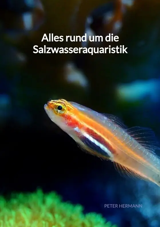 Cover: 9783347941274 | Alles rund um die Salzwasseraquaristik | Peter Hermann | Taschenbuch