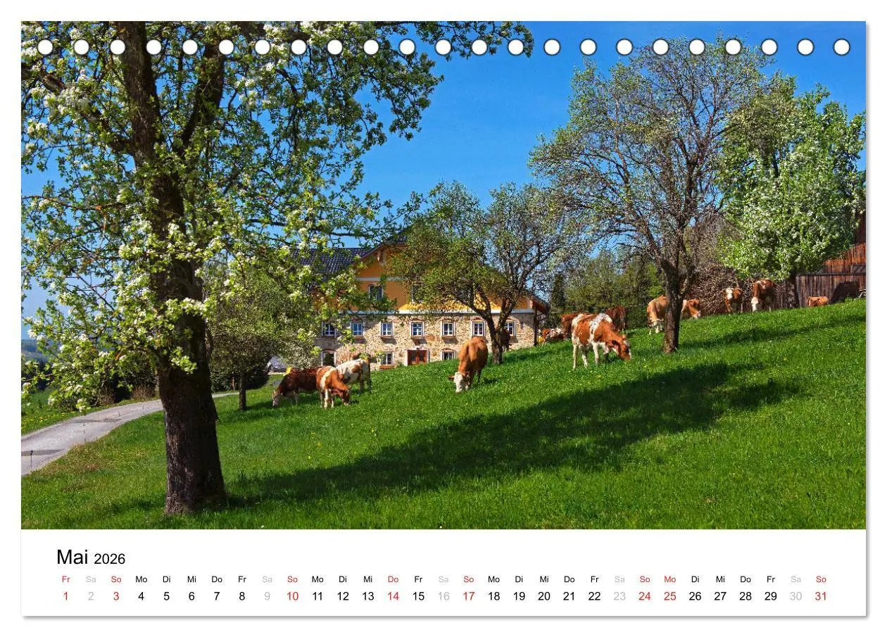 Bild: 9783457821374 | Zauberhaftes Mondseeland (Tischkalender 2026 DIN A5 quer), CALVENDO...