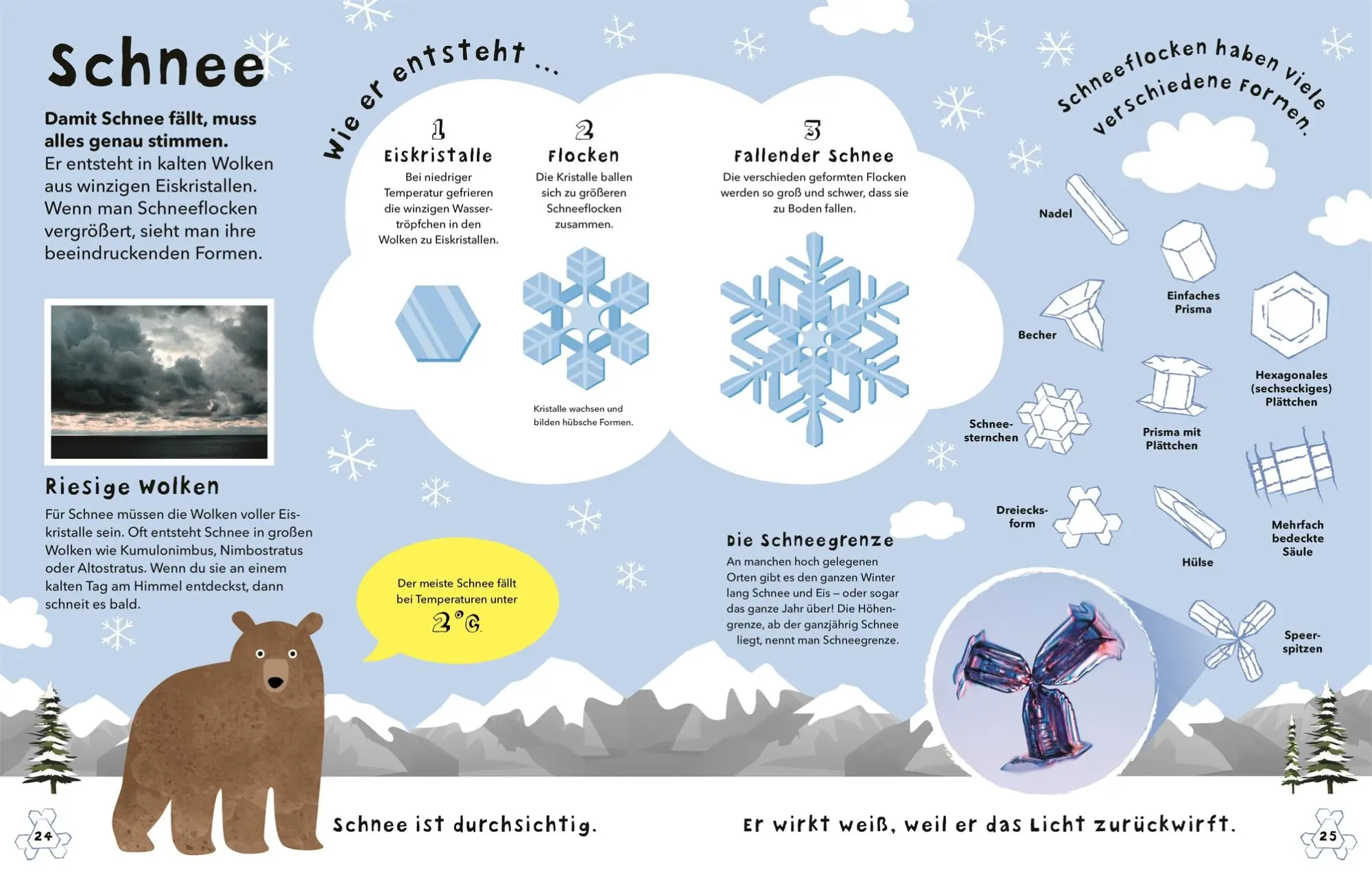 Bild: 9783831041374 | So ein Wetter! | DK Verlag - Kids | Buch | 72 S. | Deutsch | 2021