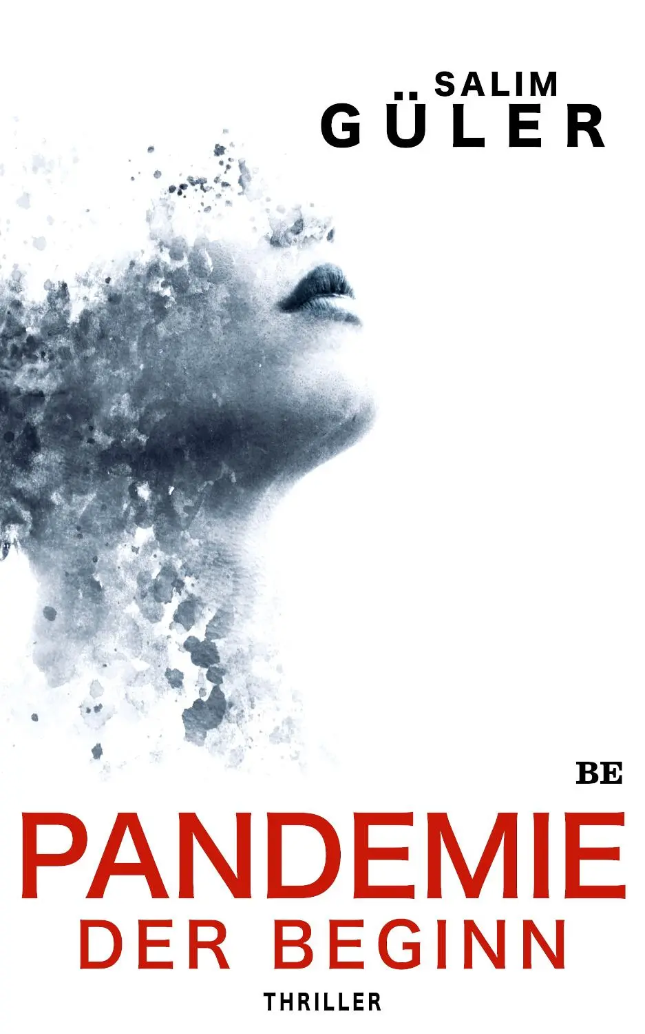 Cover: 9783963571374 | Pandemie - Der Beginn | Thriller | Salim Güler | Taschenbuch | 348 S.