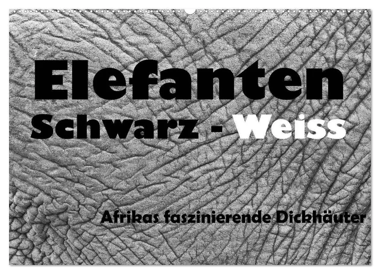 Cover: 9783516141474 | Elefanten Schwarz - Weiss (Wandkalender 2026 DIN A2 quer), CALVENDO...