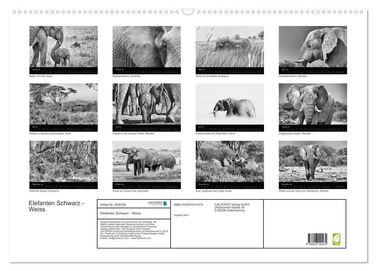 Bild: 9783516141474 | Elefanten Schwarz - Weiss (Wandkalender 2026 DIN A2 quer), CALVENDO...