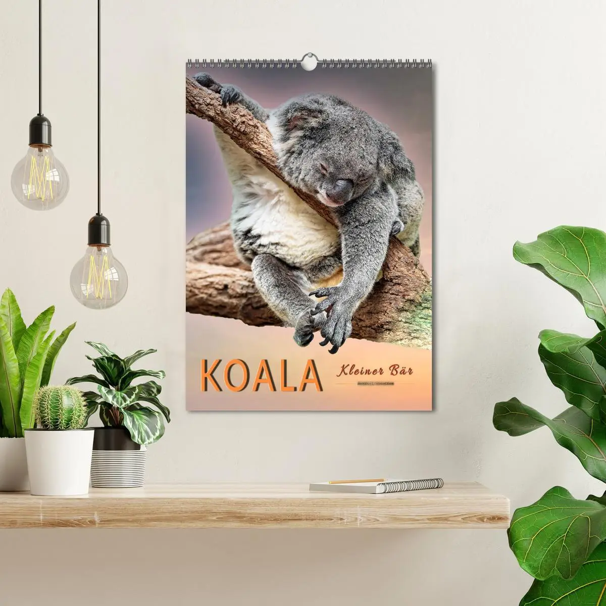 Bild: 9783516381474 | Koala, kleiner Bär (Wandkalender 2026 DIN A3 hoch), CALVENDO...