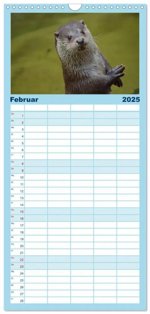 Bild: 9783457111574 | Familienplaner 2025 - Otter. Frech, laut und clever mit 5 Spalten...