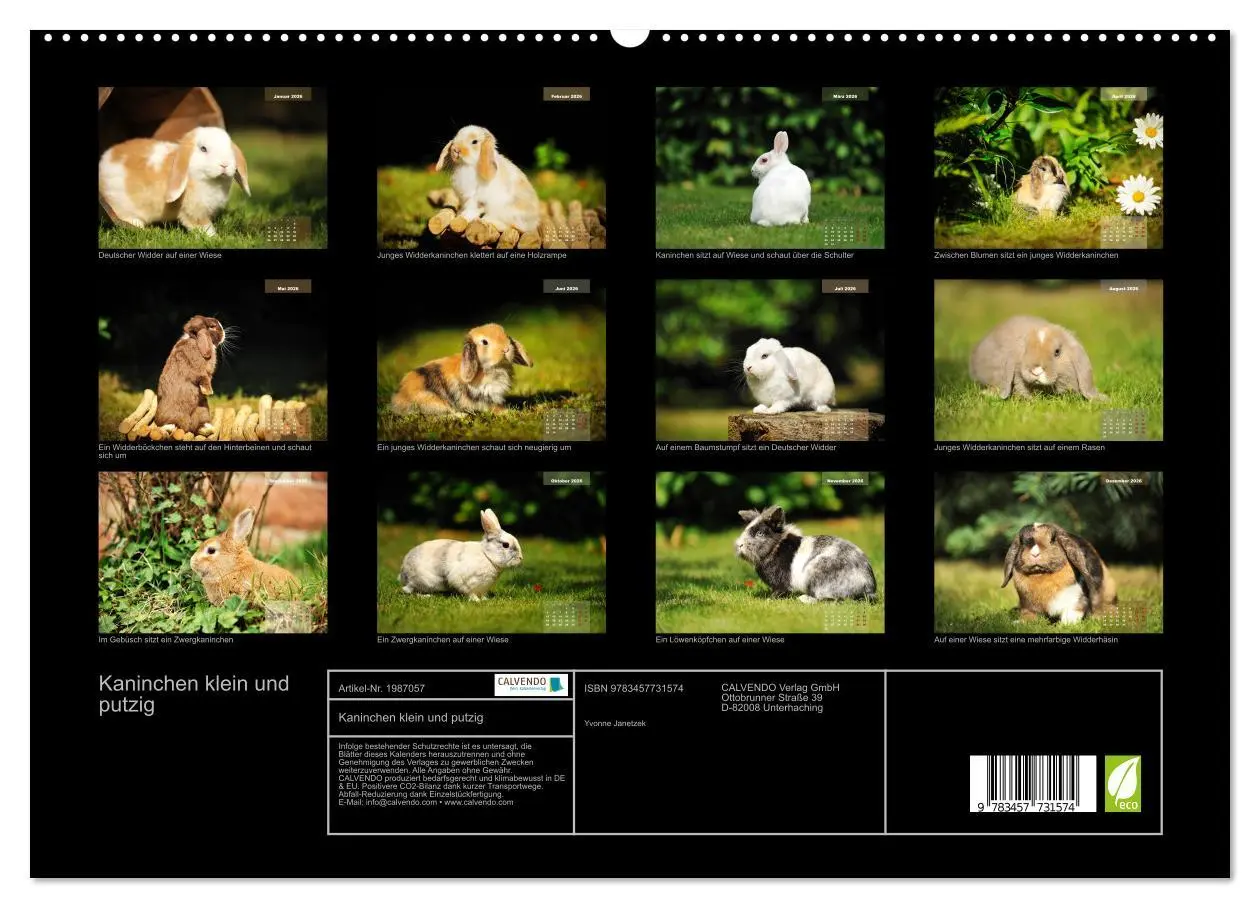 Bild: 9783457731574 | Kaninchen klein und putzig (hochwertiger Premium Wandkalender 2026...