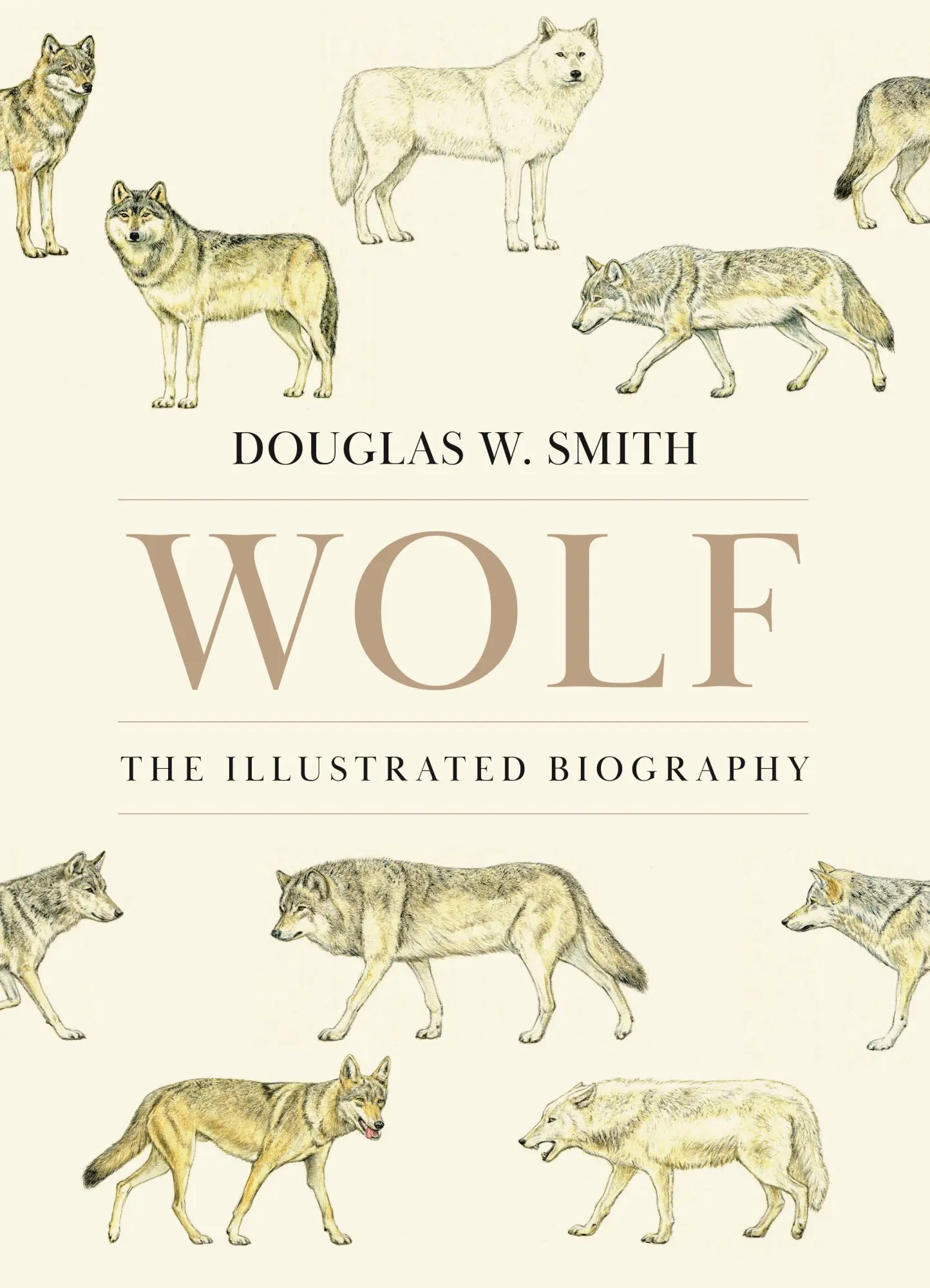 Cover: 9780691281674 | Wolf | The Illustrated Biography | Douglas W. Smith | Buch | Englisch