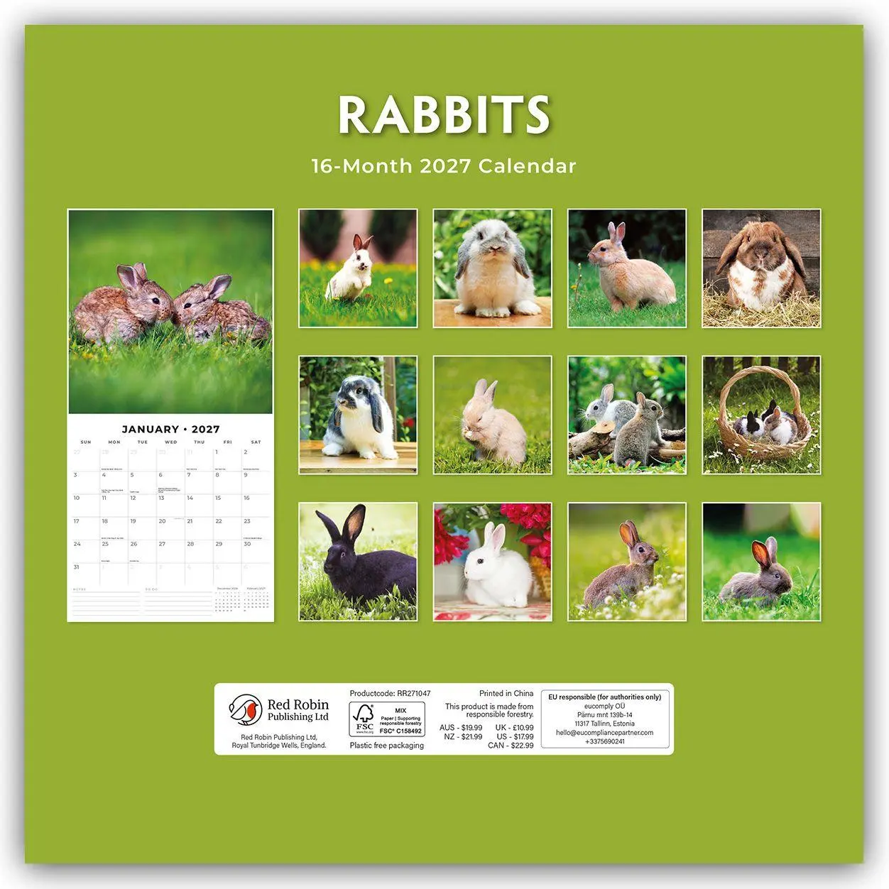 Bild: 9781837011674 | Rabbits - Hasen - Kaninchen 2027 - 16-Monatskalender | Robin Red