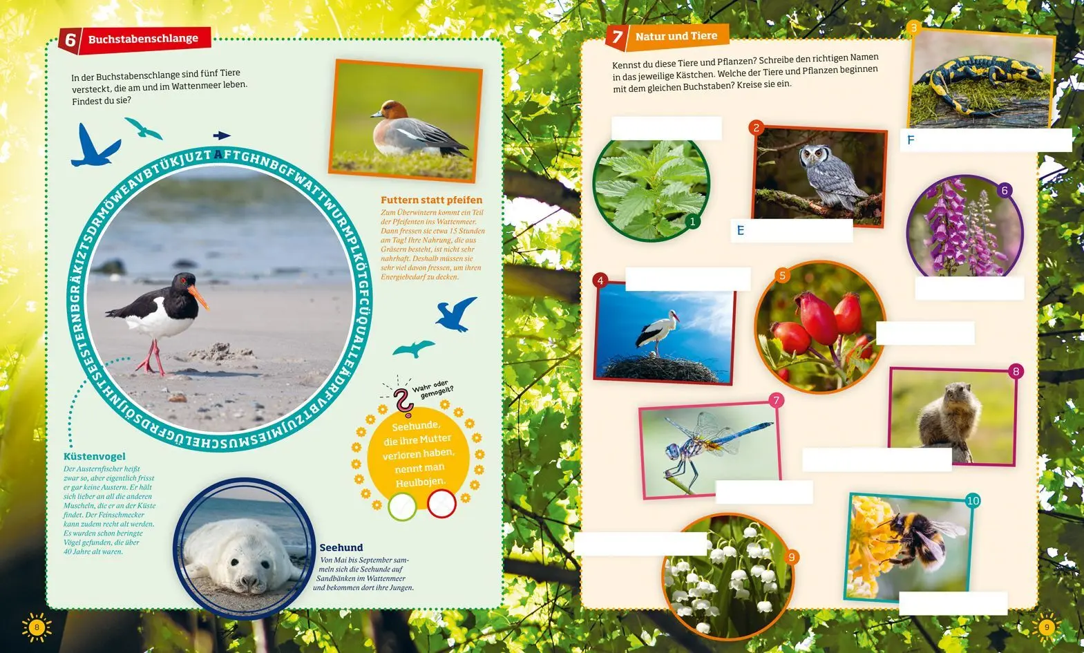 Bild: 9783788621674 | WAS IST WAS Rätseln und Stickern: Natur | Anja Kunze | Taschenbuch