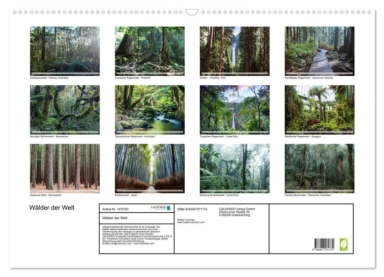 Bild: 9783457571774 | Wälder der Welt (Wandkalender 2026 DIN A2 quer), CALVENDO...