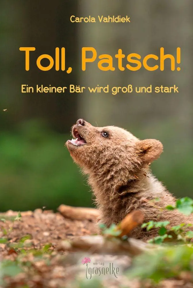 Cover: 9783982341774 | Toll, Patsch! | Ein kleiner Bär wird groß und stark | Carola Vahldiek