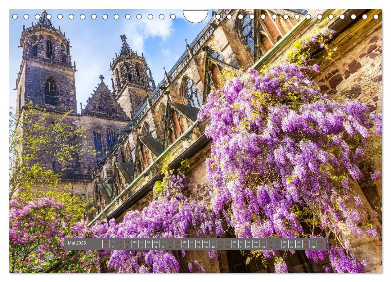 Bild: 9783383831874 | Schönes Magdeburg (Wandkalender 2025 DIN A4 quer), CALVENDO...