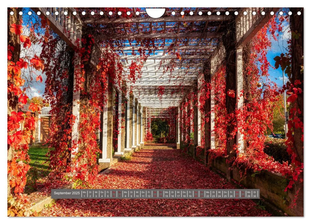 Bild: 9783383831874 | Schönes Magdeburg (Wandkalender 2025 DIN A4 quer), CALVENDO...