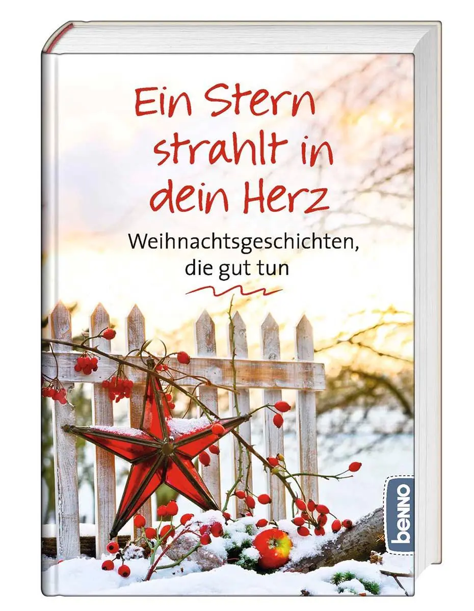 Cover: 9783746261874 | Ein Stern strahlt in dein Herz | Weihnachtsgeschichten, die gut tun