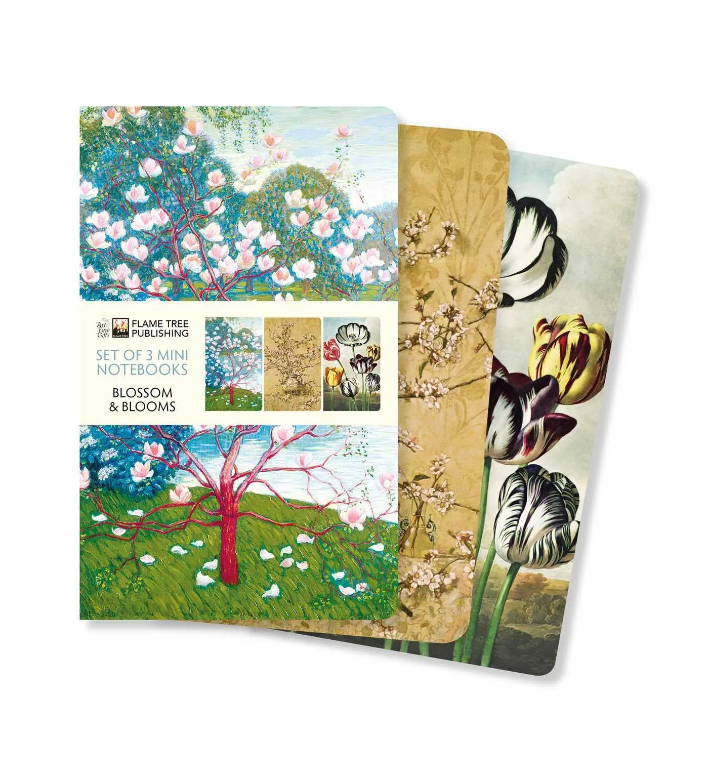 Cover: 9781804171974 | Blossoms &amp; Blooms Set of 3 Mini Notebooks | Flame Tree Publishing