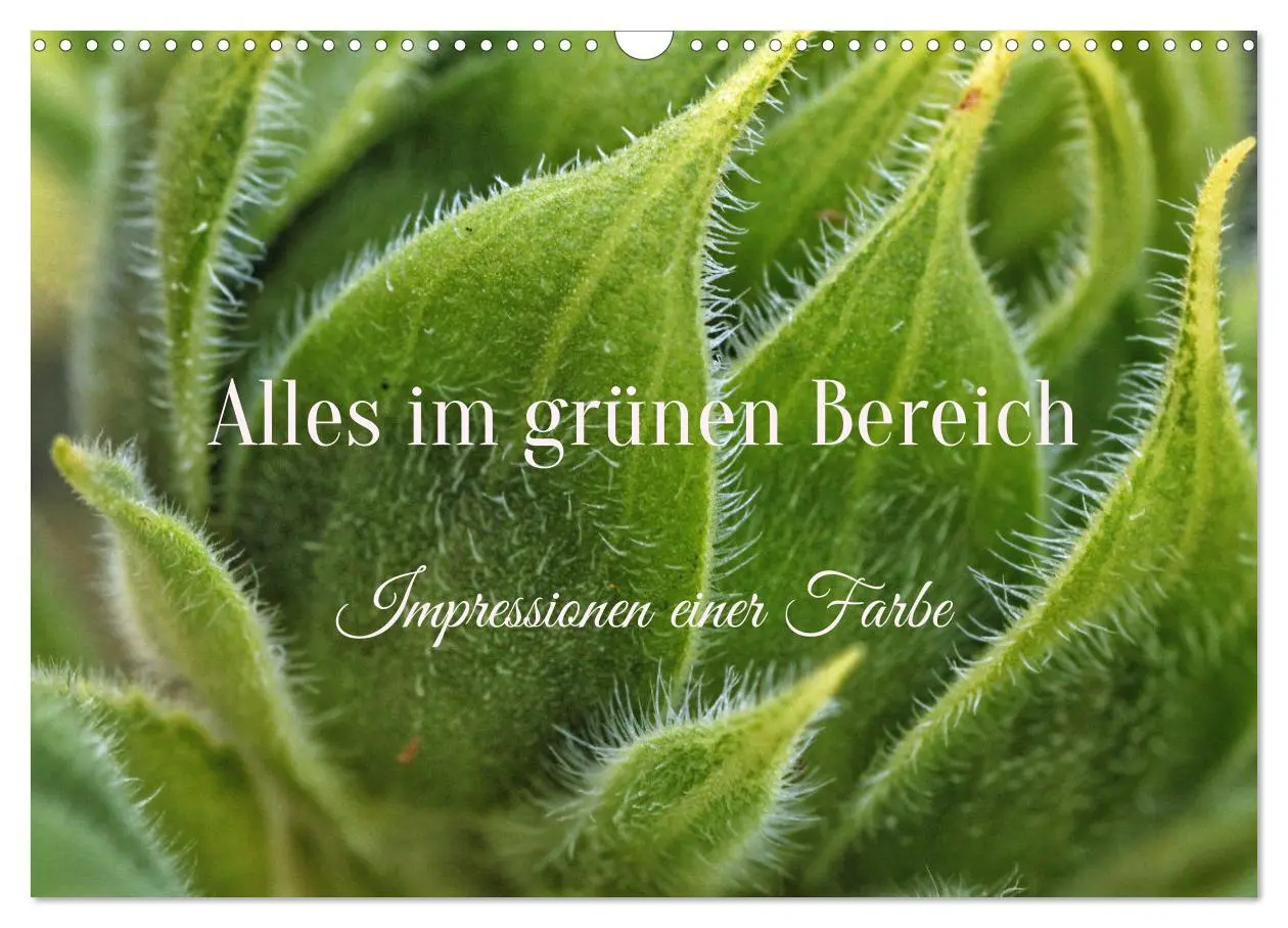 Cover: 9783457481974 | Alles im grünen Bereich (Wandkalender 2026 DIN A3 quer), CALVENDO...