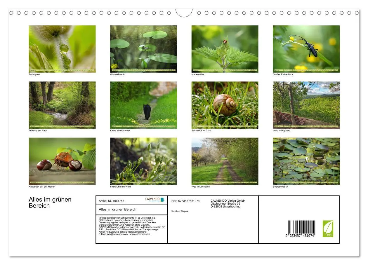 Bild: 9783457481974 | Alles im grünen Bereich (Wandkalender 2026 DIN A3 quer), CALVENDO...