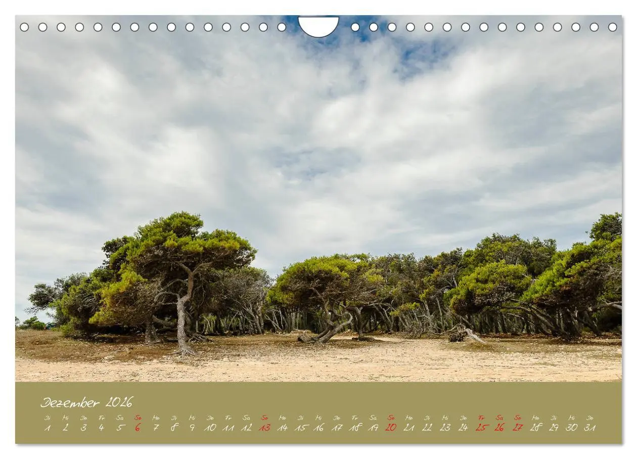 Bild: 9783457861974 | Wunderschönes Istrien (Wandkalender 2026 DIN A4 quer), CALVENDO...
