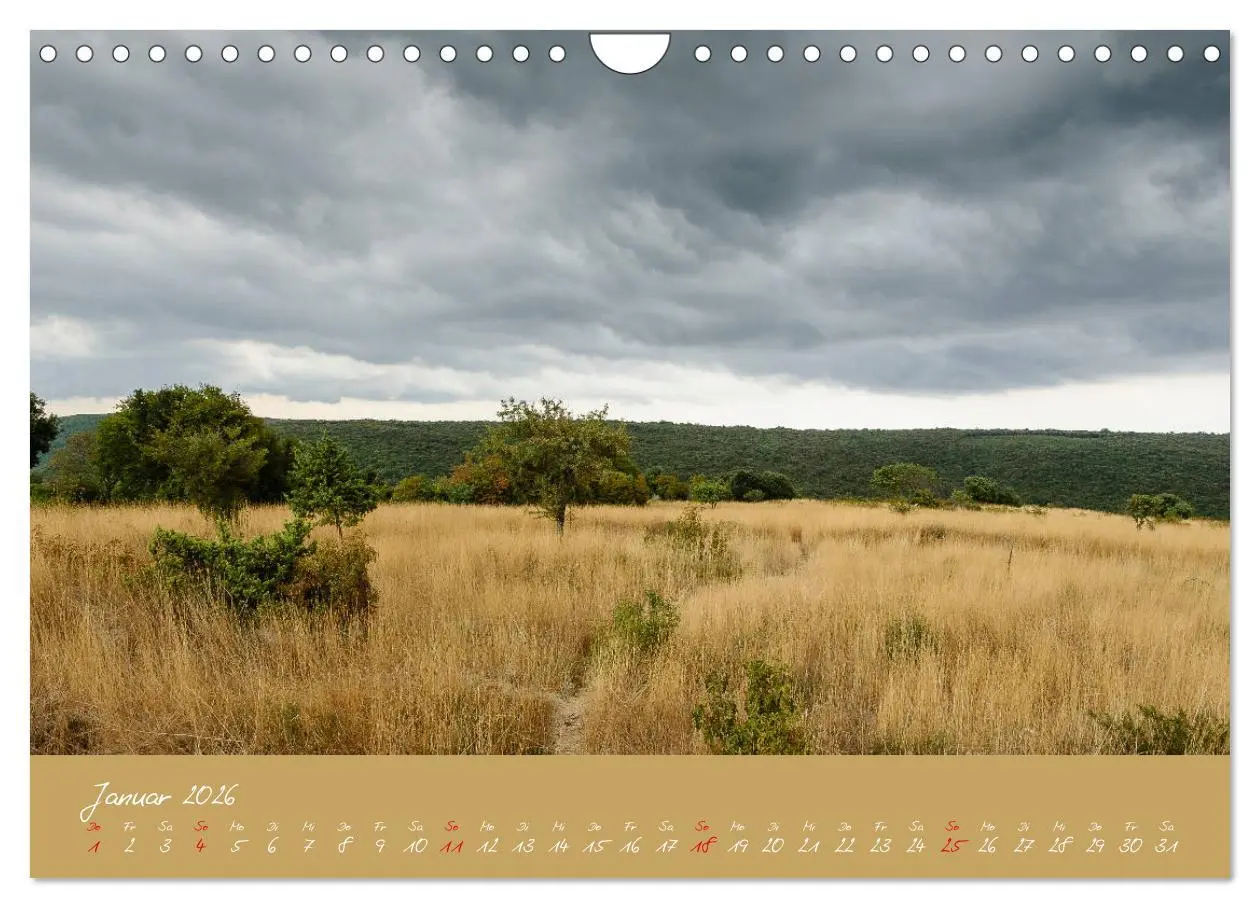 Bild: 9783457861974 | Wunderschönes Istrien (Wandkalender 2026 DIN A4 quer), CALVENDO...